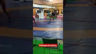Pehwlano ki Factory 🦍 | Chatrasal Stadium 🏟️