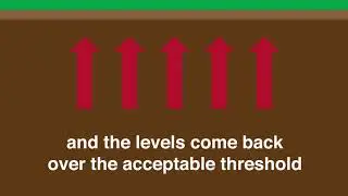 Residential Inspector of America | Radon Protection Plan