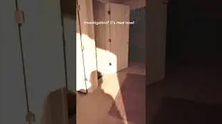CHILLING Footage Of A REAL SHADOW Figure  #scary #ghost