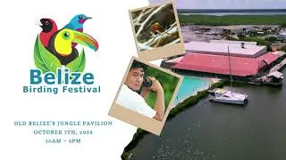 Belize Birding Festival 2023 Promo