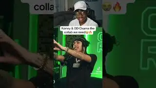 BLRRD BLRRD - DD Osama