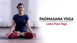 Padmasana Yoga | Lotus Pose Yoga | Steps | Benefits | Yogic Fitness