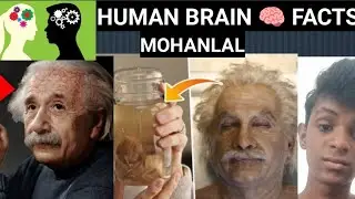 Human Brain Facts | Tamil | Mohanlal | MA #madangowri