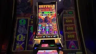 WORST BUFFALO LINK BONUS EVER (absolute trash) #slots #buffaloslot #buffalolink #pokies #loser