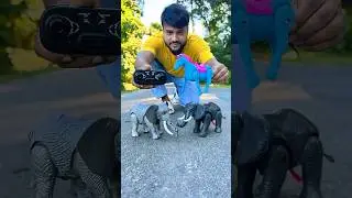 Puran ekta Horse and Naya Rc Elephant Unboxing na