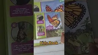 Little kids first big book#bugs#kidsbook#kindle#intersting#kids #picturebooksforkids @mikecodz2821