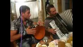 doli garmoni dirbelebi