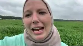 Johnsongrass by Dr. Leanne Dillard