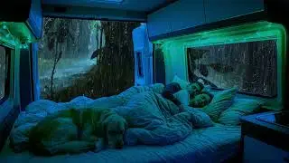 Heavy Rain White Noise for Fast Sleep | Deep Sleep | Noise Blocker | Dark Screen | Calm Mind