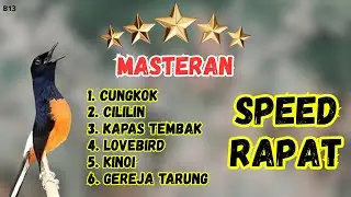 🔴 GACOR RAPAT MASTERAN MURAI BATU GACOR