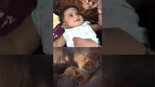 Simba Recreation - Meet Viyaansh | Our Little King&rsquo;s Grand Entrance (Lion King Inspired)