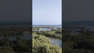 Mangroves and wetlands of Panjim Goa