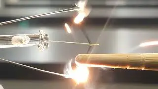 【映像のみ】電球の中のアルゴン