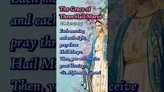Three Hail Marys | Miracle Prayers for Mercy, Healing, Peace | 29 January