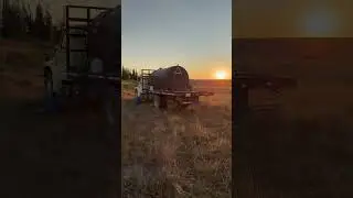 An evening at the sheep camp. #sheep #ranching #duckworth #summer #ontherange