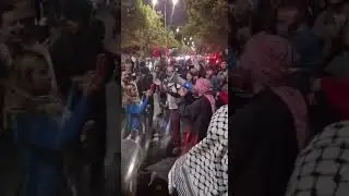 Protesters take to the streets in Santiago, Chile, in support of Palestine