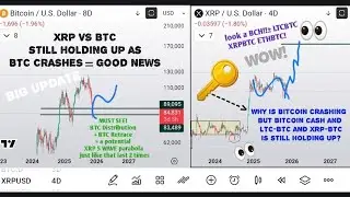 How can XRP break out if BTC is in bear Market territory?  I'll show you + Bitcoin Cash looking nutz