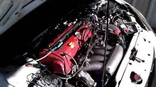 KMOD Tuned K20/K24a2 235whp-186wtq
