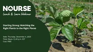 Nourse Farms Webinar: Starting Strong: Matching the Right Plants to the Right Places