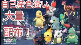 早めのクリスマス配布ほとんど親分色違い100匹以上配布！【何度でも参加可】