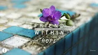 Friend Within - Doctor (Extended Mix)