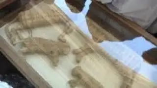 Mummified lions, crocs and birds in new Egypt finds