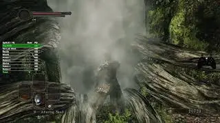 DS2 Scholar No Hit Any%