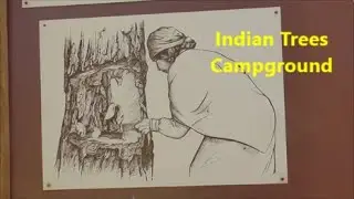 Indian Trees Campground ~ Lost Trail Pass, Montana