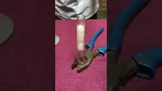🧪How Do Acids React With Metals?🧪 [HCl + Mg] | Class 10 Science Chapter 2 | Learn Practically