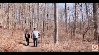 A Walk Through the Underground Railroad Trail in Sandy Spring