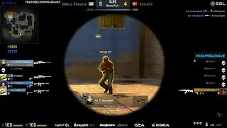 Na'Vi Guardian vs Astralis | QUADRA KILL |