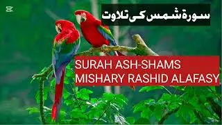 Surah Ash Shams ki tilawat/Most Beautiful Recitation of Surah Shams/Full Surah Shams/