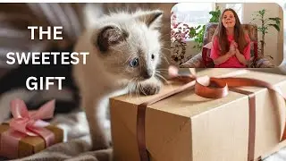 Best Vegan Gift Idea Ever