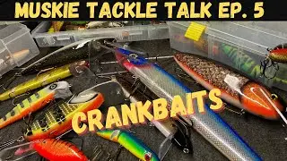 ОБСУЖДЕНИЕ СПЕЦИАЛЬНЫХ ПРИМЕЧАНИЙ MUSKIE, ЭПИЗОД 5 (CRANK BAITS)