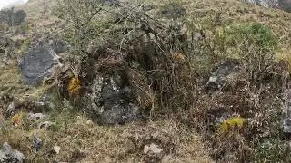 A walk above Uspha Qocha (Ampay, Abancay, Peru)