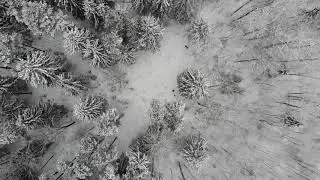 Winter In Sigulda