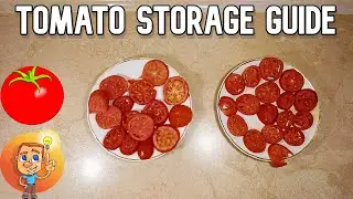 Tomato Storage Guide - How to keep tomatoes for a long time - Freezing Tomatoes