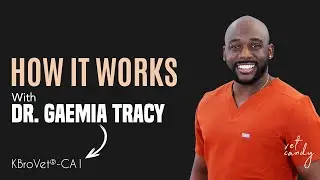 Dr. Gaemia Tracey, vet neurologist, sheds light on KBroVet&reg;&ndash;CA1