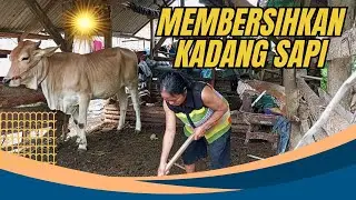 TASYA ROSMALA - KERANDA CINTA, SEBUJUR BANGKAI || OM ADELLA FULL ALBUM TERBARU 2025