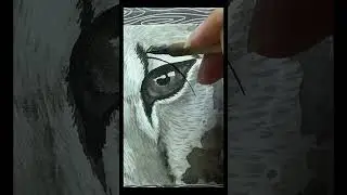 Meow/Ink Painting/Big Cat Study🐾#shorts #art #bigcat #cougars