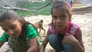 Dogri talk with child making desi kitchen  | kalka dogri channel