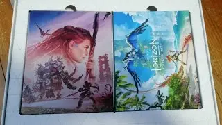 Horizon Forbidden West Art Book