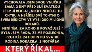 Řekla jsem jí: „Nikdy neříkej své tchyni o těch 200 milionech dolarů.“24 hodin po svatbě přišli s…