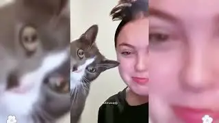Try Not To Laugh 😅 Best Funny Cats and Dogs Videos 2026 😹🐶 Part 3