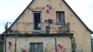 Besigt