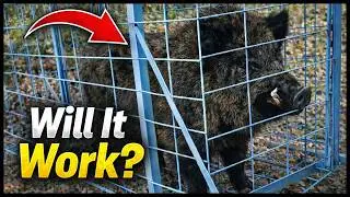 DIY Wild Hog Trap | Simple, Strong, and Effective
