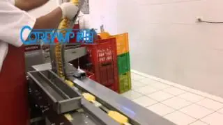 【China Foshan 】ice cream + ice pop /Popsicle Wrapping Machine