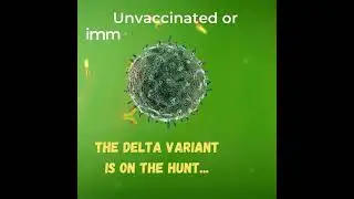 #COVID #Deltavariant on the hunt!
