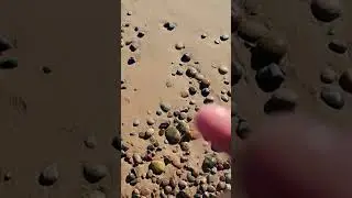 WildCat Shores Part 2: Sarah Finds Agate with Beautiful Light White Banding