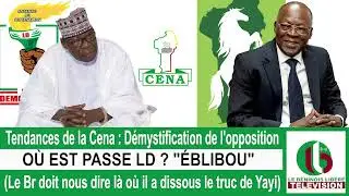 Tendances de la Cena : démystification de l'opposition : OÙ EST PASSE LD ? 